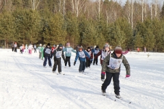 Lyznya-33